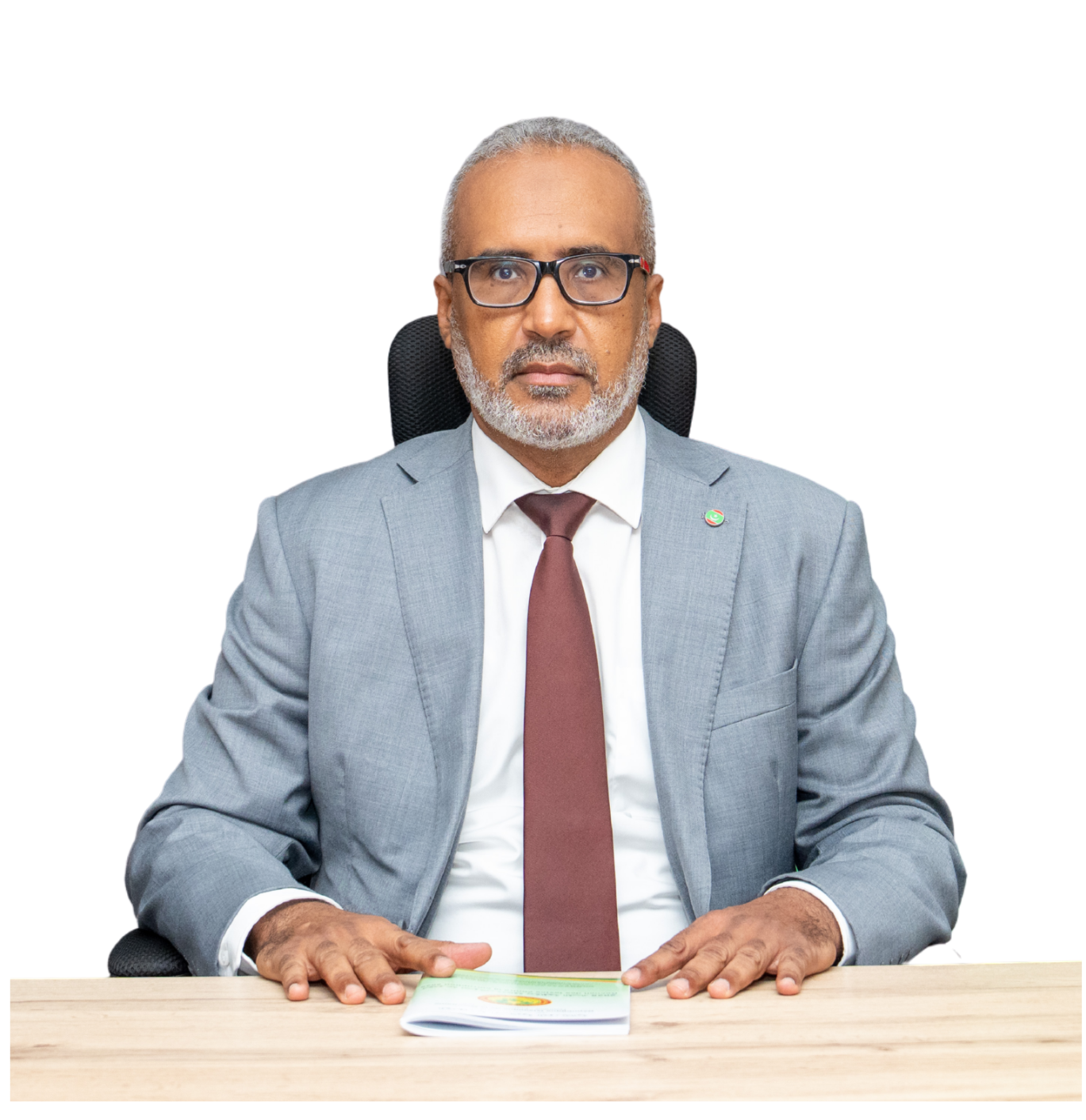 سيدي محمد ولد الشيخ ولد بيده